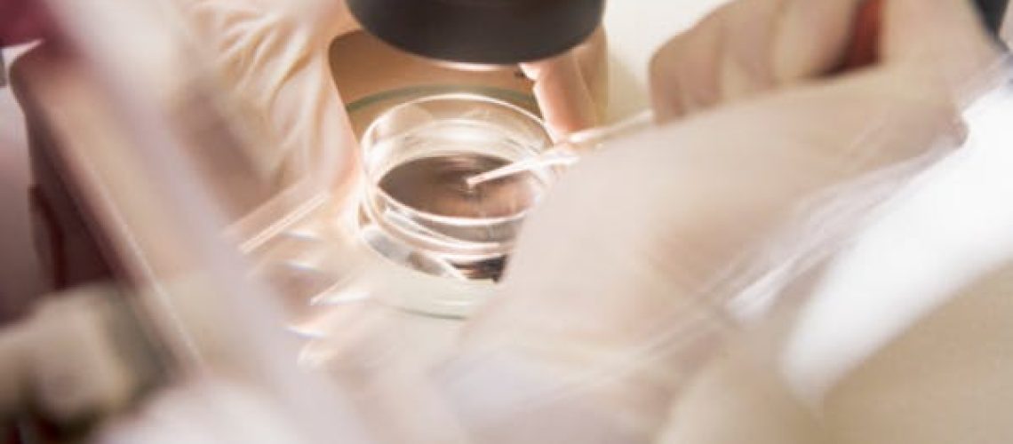 Mieux connaître le don d’ovocytes en France Mieux connaître le don d'ovocytes en France