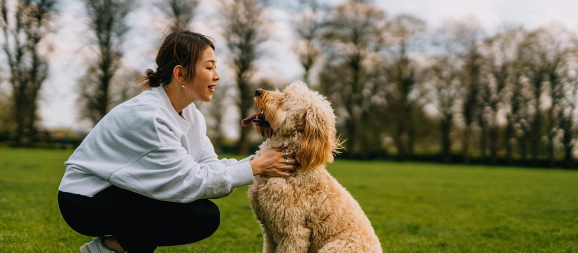 Zoophobie : nos solutions pour surmonter la peur panique des animaux Zoophobie : nos solutions pour surmonter la peur panique des animaux